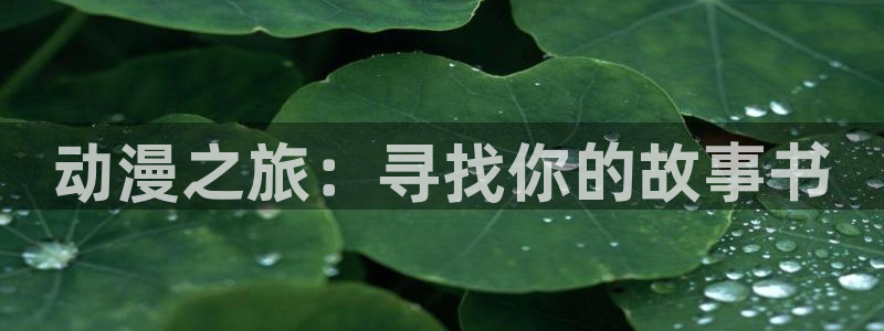 51动漫最新网址